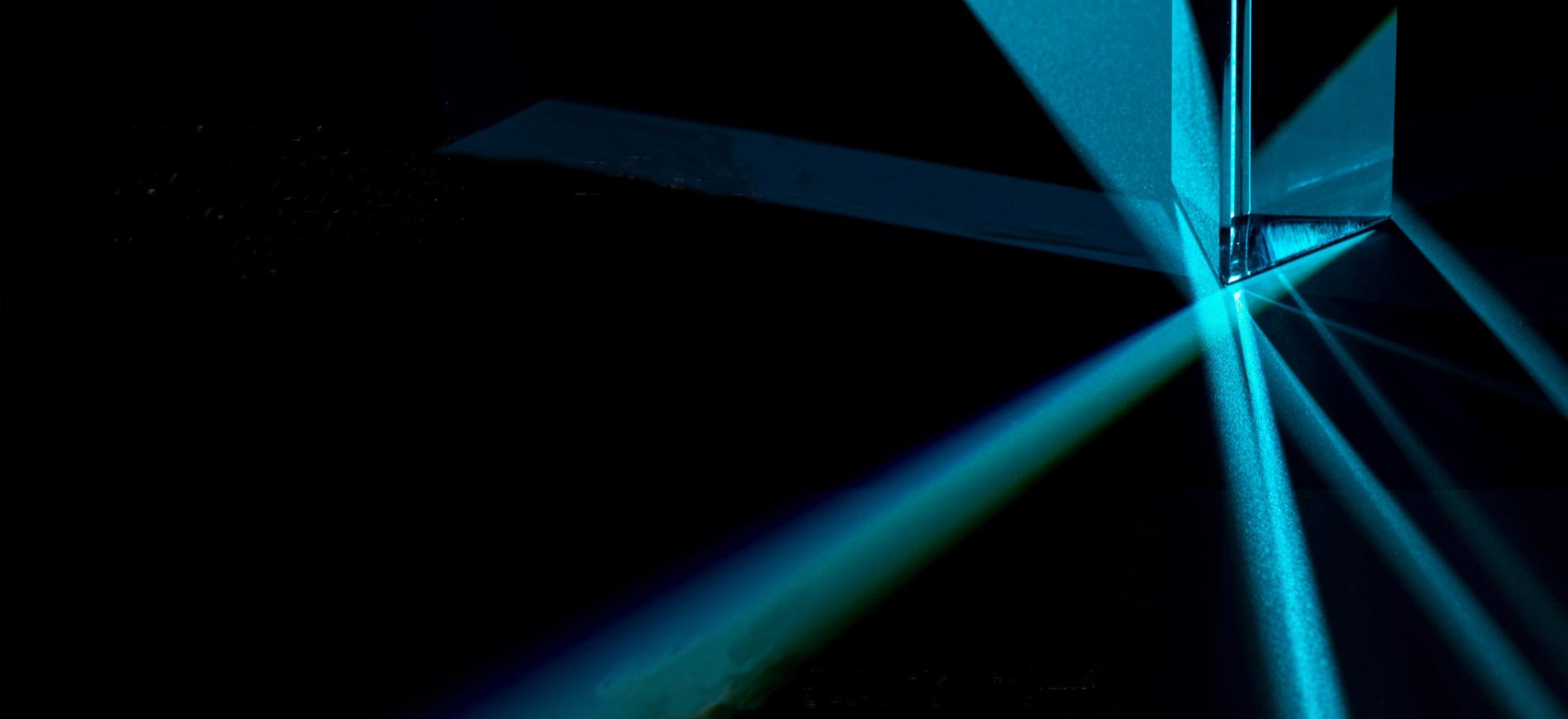 banner.jpg